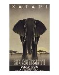 Serengeti-Steve Forney-Stretched Canvas