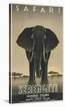 Serengeti-Steve Forney-Art Print