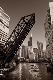 Premium Photographic Print
