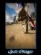 Premium Photographic Print