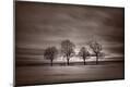 Photographic Print