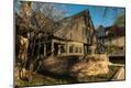 Photographic Print