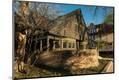 Photographic Print