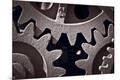 Premium Photographic Print