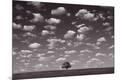 Photographic Print