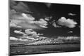 Photographic Print