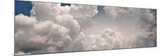 Premium Photographic Print