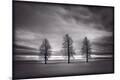 Photographic Print