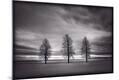 Photographic Print