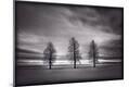 Photographic Print