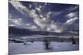 Photographic Print