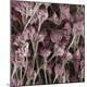 Premium Photographic Print