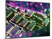 Premium Photographic Print