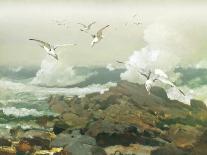 Cape Hatteras II-Steve Hunziker-Art Print