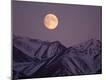 Premium Photographic Print