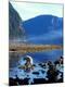Photographic Print