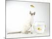 Premium Photographic Print