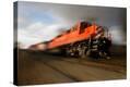 Stretched Canvas Print