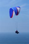 California, San Diego. Hang Glider Flying at Torrey Pines Gliderport-Steve Ross-Photographic Print