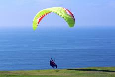 California, San Diego, Torrey Pines Gliderport. Hang Gliders Landing-Steve Ross-Photographic Print