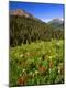 Photographic Print
