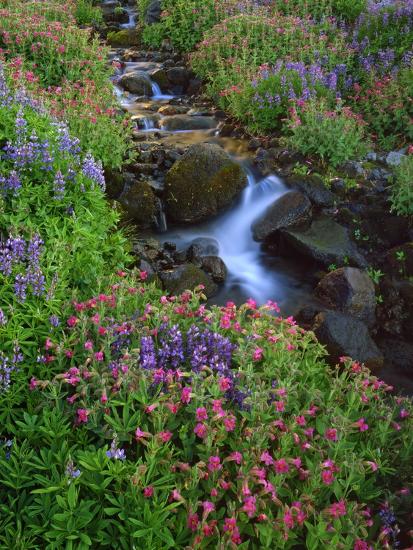 Premium Photographic Print, , large