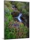 Premium Photographic Print