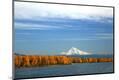 Premium Photographic Print