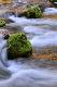 Premium Photographic Print