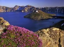 Penstemon Blooms on Cliff Overlooking Wizard Island-Steve Terrill-Photographic Print