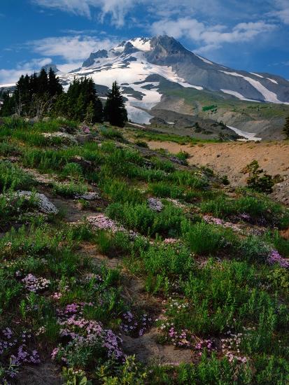 Premium Photographic Print, , large