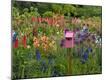 Premium Photographic Print
