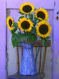 Sunflowers Displayed in Enamelware Pitcher, Willamette Valley, Oregon, USA-Steve Terrill-Photographic Print