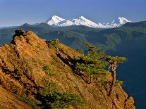 Fireweed Flowers below Mt. Baker-Steve Terrill-Photographic Print