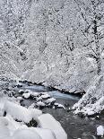 USA, Oregon, Mt. Hood National Forest. Snow on Boulder Creek-Steve Terrill-Photographic Print