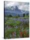 Stretched Canvas Print