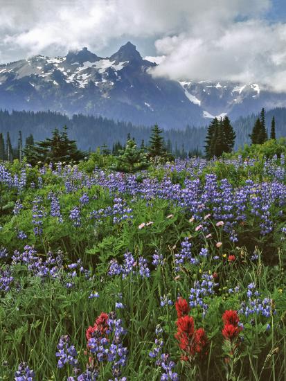 Premium Photographic Print, , large