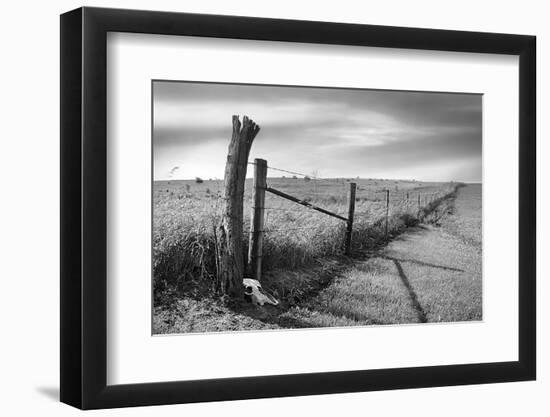 Photo, , large