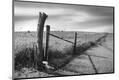 Premium Photographic Print