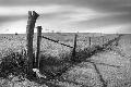 Premium Photographic Print