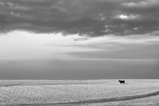 Photo, , large