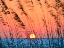 Sunrise Boardwalk-Steve Vaughn-Photographic Print
