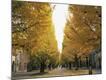 Photographic Print