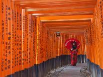 Japan, Kyoto, Arashiyama, Adashino Nembutsu-ji Temple, Bamboo Forest-Steve Vidler-Photographic Print