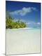 Premium Photographic Print