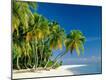 Premium Photographic Print