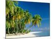 Premium Photographic Print