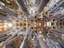 Spain, Barcelona, Sagrada Familia, Interior-Steve Vidler-Photographic Print