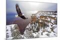Premium Photographic Print