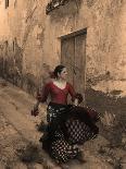 The Flamenco Dancer-Steven Boone-Photographic Print